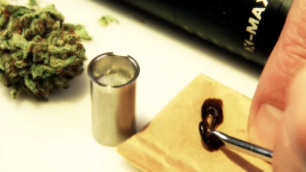 VA2426 - XMAX V2 PRO XVAPE WAX CONTAINER