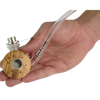 indoorline_lotus_olive_3