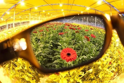 RESISTANCE HPS PLUS PERFECT COLOR OCCHIALE METHOD SEVEN