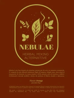 Nebulae-da-stampa-12x16-Orange-copia