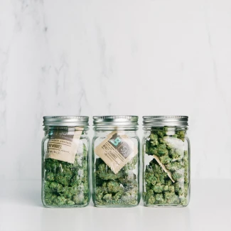 BOVEDA 58% - MANTENIMENTO UMIDITA' COSTANTE |  BOX 300pz DA 8gr IMBUSTATO SINGOLARMENTE Indoorline