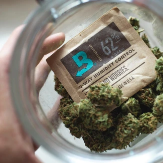 BOVEDA 62% - MANTENIMENTO UMIDITA' COSTANTE |  8gr IMBUSTATO SINGOLARMENTE Indoorline