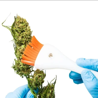 CANNABRUSH - PENNELLO PER RIFINIRE LA CANNABIS